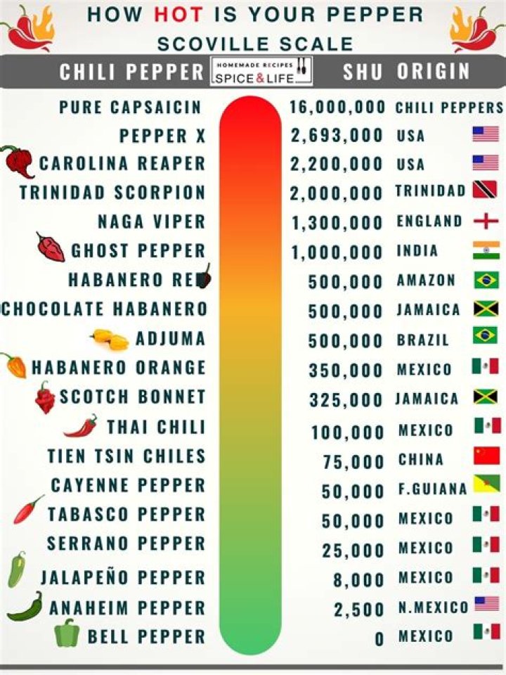 Exploring The Legacy Of The Red Hot Chili Peppers: A Comprehensive Review
