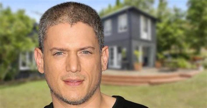 Exploring Wentworth Miller's Net Worth: A Journey Through Success