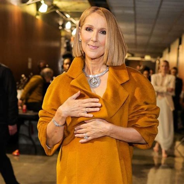 Unveiling The Financial Symphony: The Net Worth Of Celine Dion